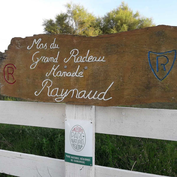 Panneau de notre Manade Raynaud aux Saintes-Maries-de-la-Mer