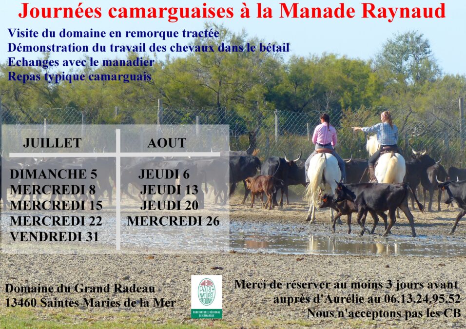 Nos visites de l’été 2026